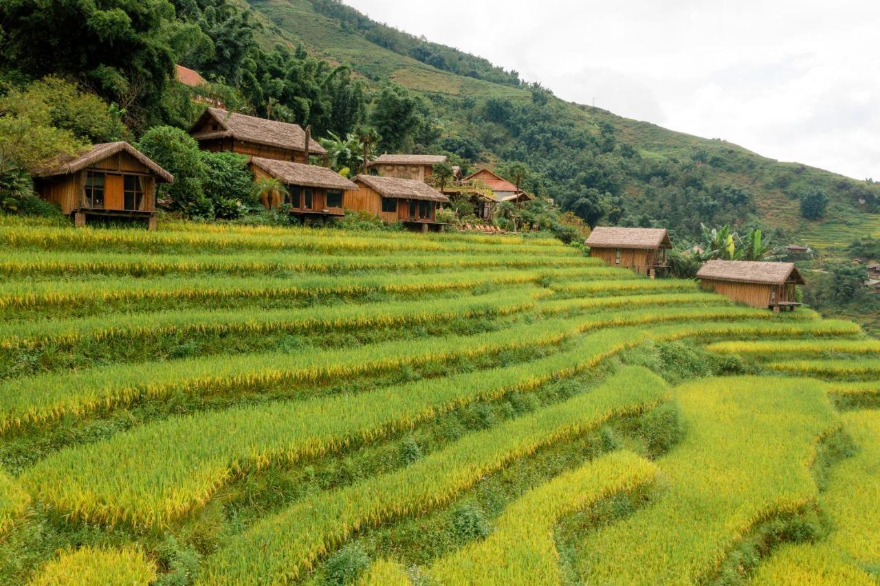 Готель Eco Palms House - Sapa Retreat Екстер'єр фото