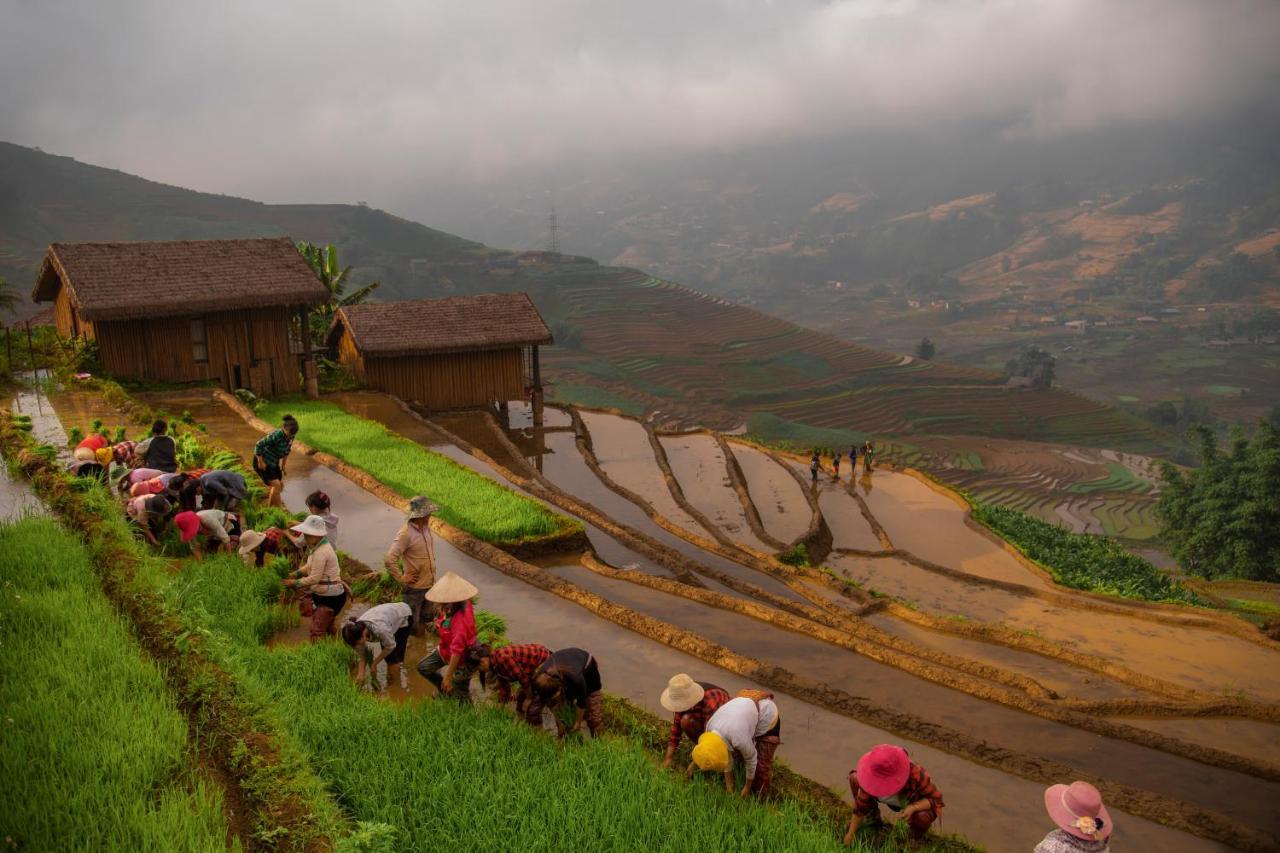 Готель Eco Palms House - Sapa Retreat Екстер'єр фото
