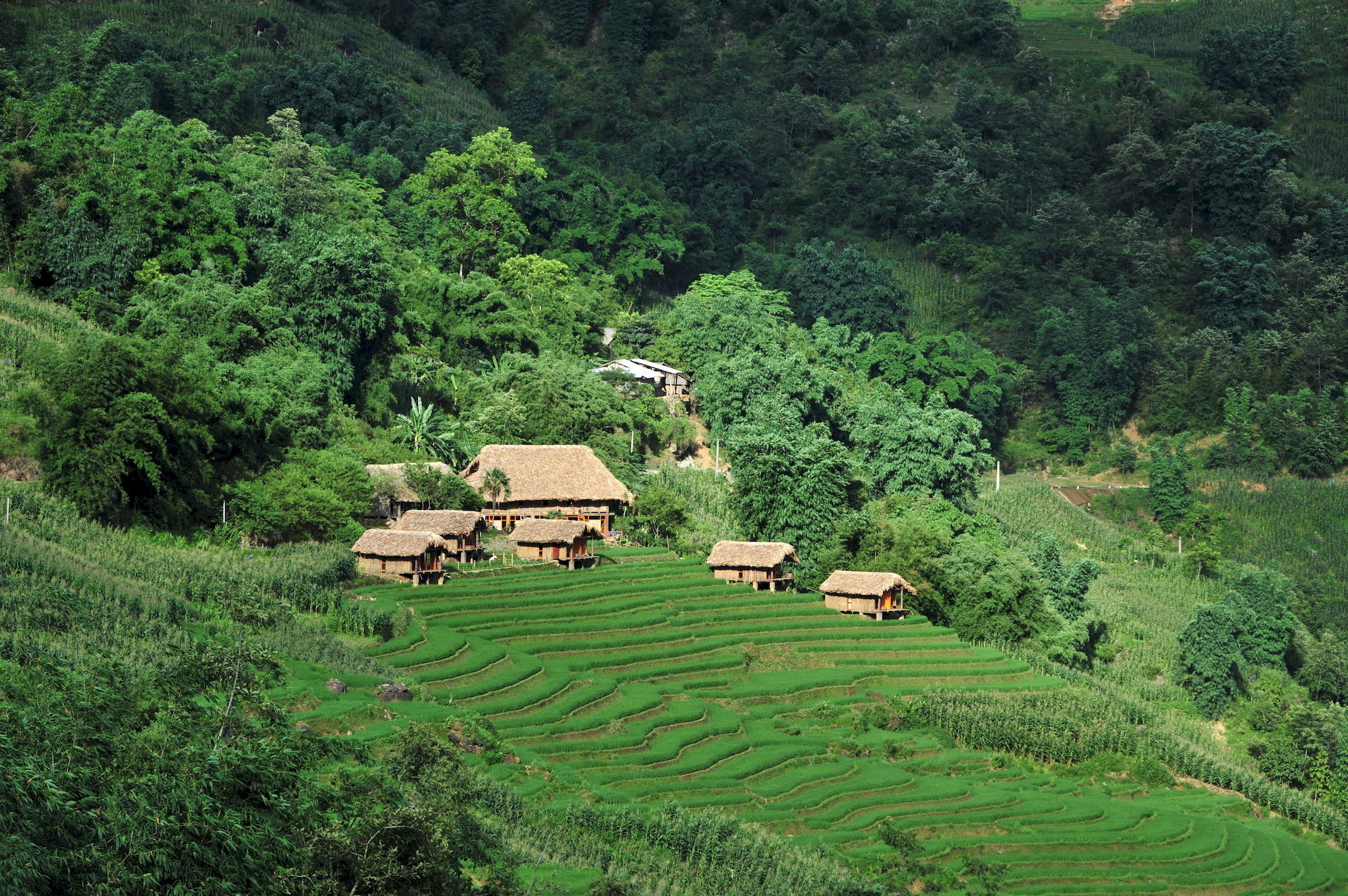 Готель Eco Palms House - Sapa Retreat Екстер'єр фото